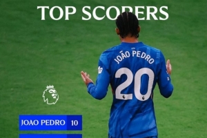 本赛季蓝军队内英超射手榜：若昂·佩德罗10球居首 帕尔默恩佐8球